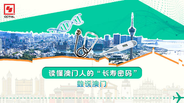 新澳门内部一码精准公开——探寻好运的秘密之旅